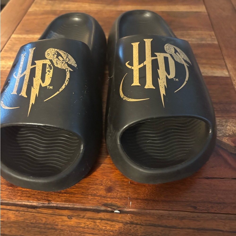 Harry Potter Black and Gold HP Slides